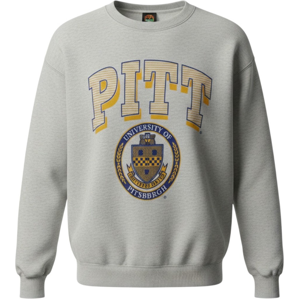 Vintage University of Pittsburgh Pitt Panthers Sweatshirt Gray Large 90s NCAA‎